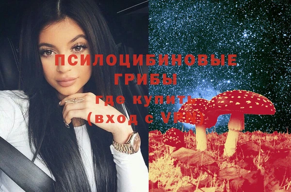герыч Арсеньев