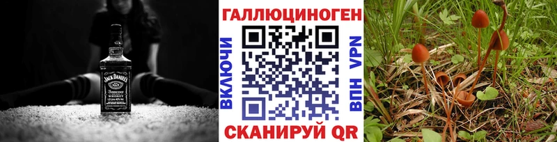 как найти закладки  Баймак  Галлюциногенные грибы Cubensis 